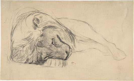 The Head of a Recumbent Lion-Attributed to Pierre Andrieu,16x12"(A3) Poster