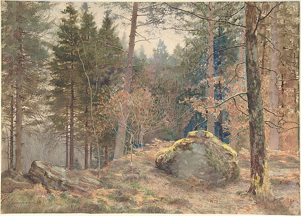 In a Welsh Pine Wood c1891-James Thomas Watts,  Poster Print Wall Art