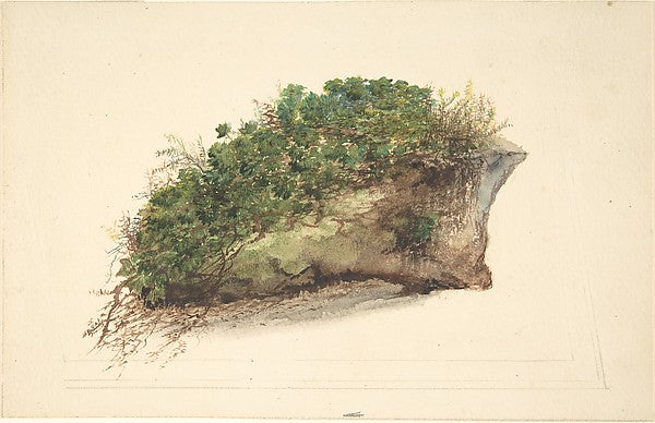 Study of a Piece of Turf early 19th cent-Anonymous,British,e,  Poster Print Wall Art