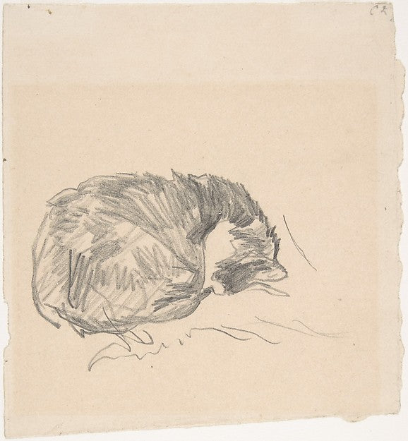A Cat Curled Up  Sleeping 1861-Édouard Manet,16x12"(A3) Poster