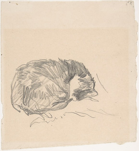 A Cat Curled Up  Sleeping 1861-Édouard Manet,16x12"(A3) Poster