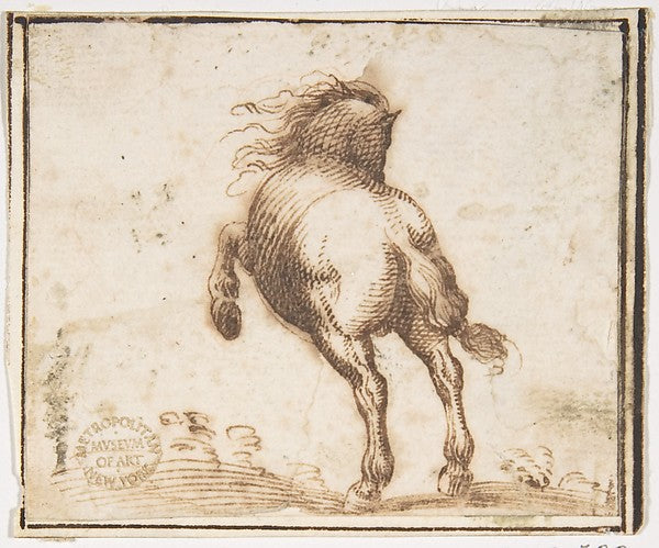 Horse 1624–63-attributed to Francesco Allegrini  1615/20–after,  Poster Print Wall Art
