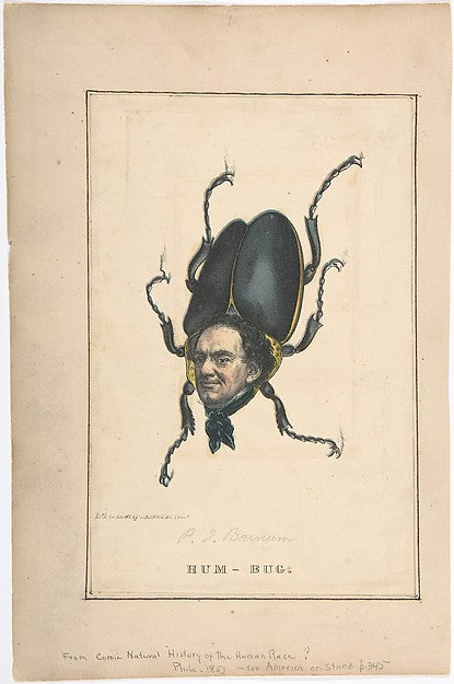 Hum-Bug   from the Comic Natural History of the Human Race 185, Poster Print