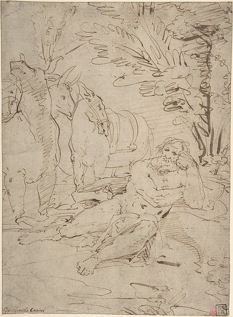 Unidentified Subject:  Reclining Nude Male Figure and Cattle 1,16x12"(A3) Poster
