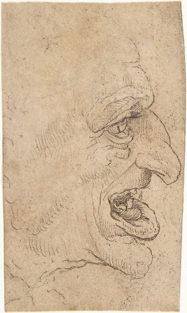 The Head of a Grotesque Man in Profile Facing Right after 1500,  Poster Print Wall Art