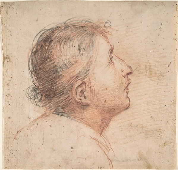 Youth Gazing Upwards in Profile. 1607–61-Francesco Montelatici,16x12"(A3) Poster