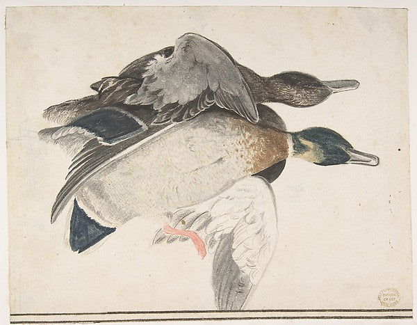 Two Dead Ducks 1685–1755-Count Giorgio Durante   1685–1755 Pal,16x12"(A3) Poster