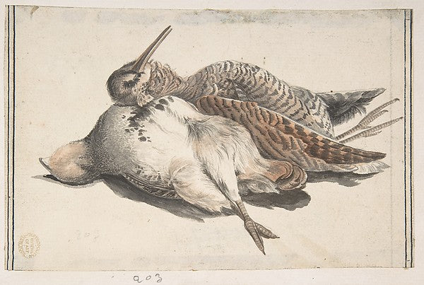 Dead Birds. 1685–1755-Count Giorgio Durante   1685–1755 Palazz,16x12"(A3) Poster