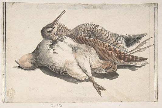 Dead Birds. 1685–1755-Count Giorgio Durante   1685–1755 Palazz,16x12"(A3) Poster