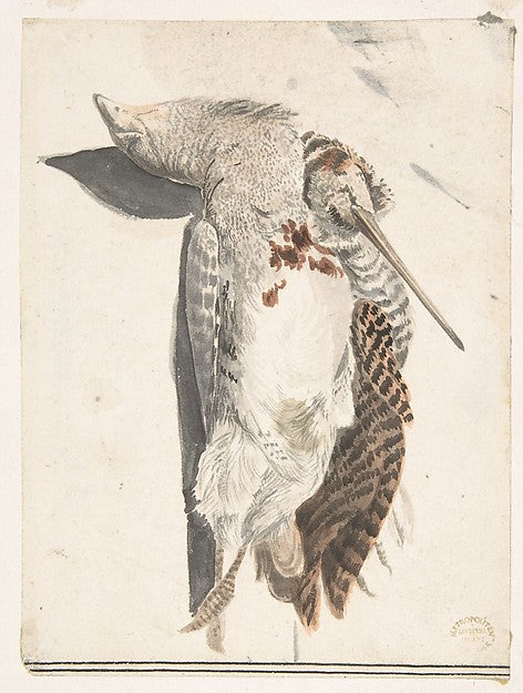 Two Dead Birds . 1685–1755-Count Giorgio Durante   1685–1755 P,16x12"(A3) Poster
