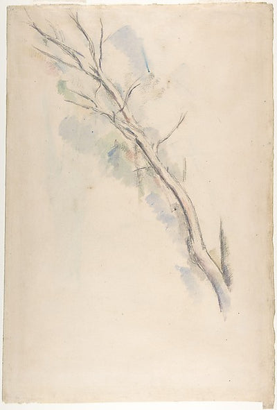 Studies of a tree  n.d.-Paul Cézanne,16x12"(A3) Poster