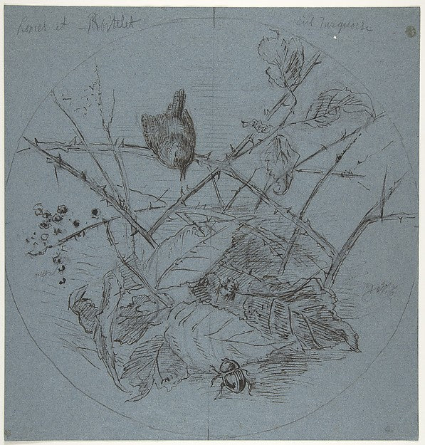 Design for a Plate 1825–93-Karl Bodmer, Poster Print