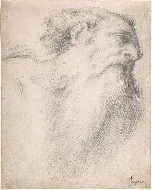 Head of a Bearded Man 1516–17-Lorenzo Lotto,16x12"(A3) Poster