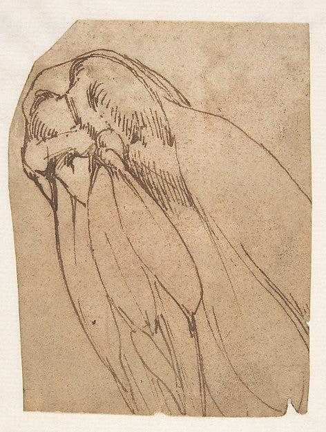 Anatomical Study of a Knee 1475–1564-School of Michelangelo Bu,16x12"(A3) Poster