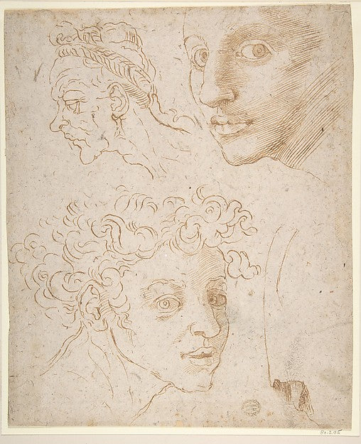 Three Heads after Michelangelo's Frescoes in the Sistine Chape,16x12
