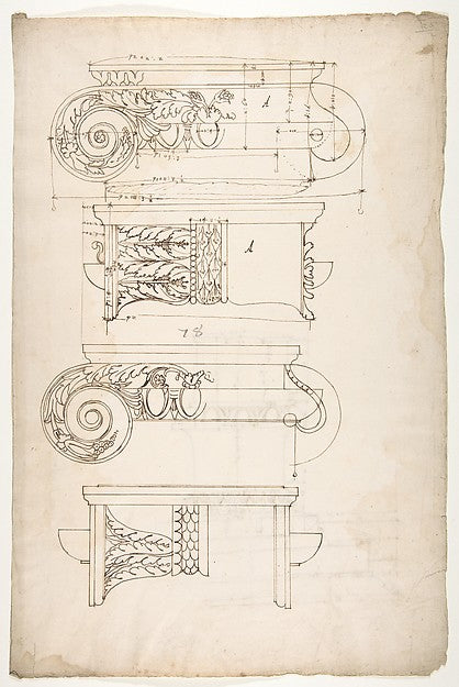 Unidentified  Ionic capitals  two front and side elevations  D, Poster Print