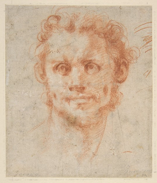 Study of a Man's Head 1494–1556-Jacopo da Pontormo ,  Poster Print Wall Art