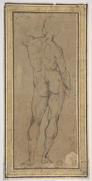 Male Figure Seen from Rear  After a Drawing by Michelangelo 15,16x12