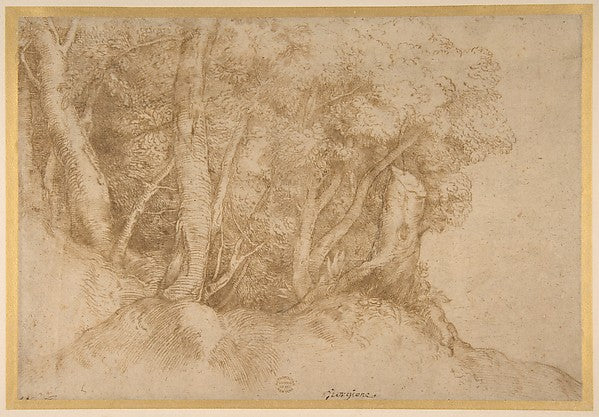 Group of Trees 1485/90–1576-Titian ,  Poster Print Wall Art
