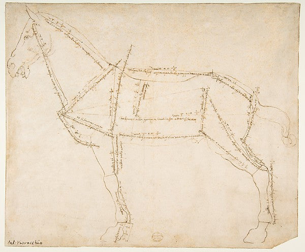 Measured Drawing of a Horse Facing Left . c1480–88-Andrea del,  Poster Print Wall Art