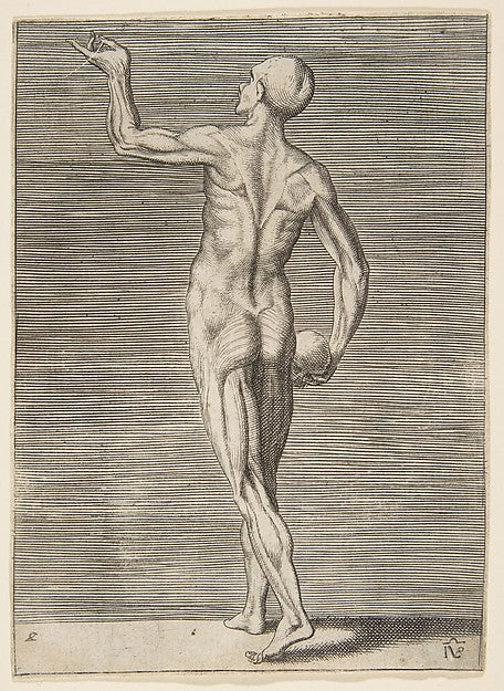 Man seen from the Back  holding a Skull in his right Hand 16th,  Poster Print