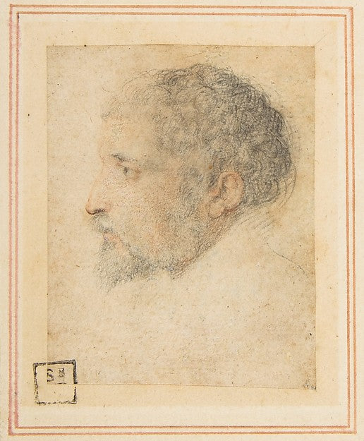 Head of man in Profile to Left 1503–40-Attributed to Parmigian,16x12"(A3) Poster