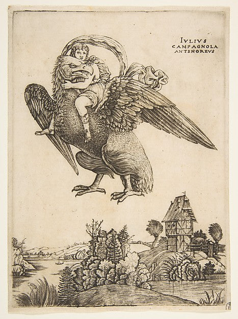 Ganymede as a young boy riding a large eagle  in flight above, Poster Print