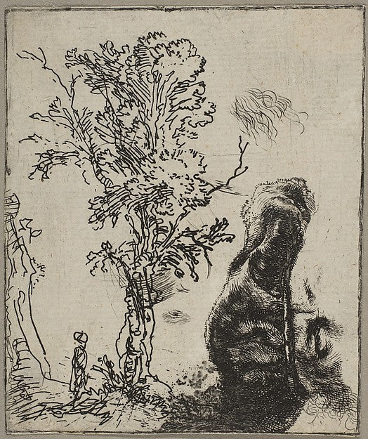 Sheet with Two Studies -   A Tree and the Upper Part of a Head o,  Poster Print Wall Art