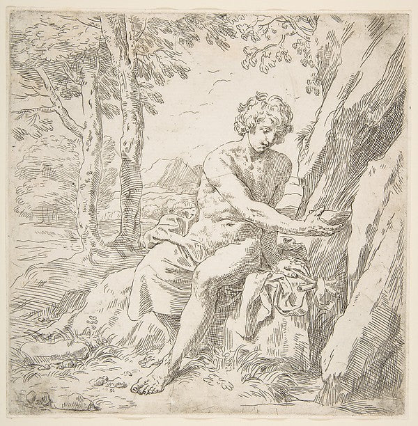 Saint John the Baptist in the desert c1637–1639-Simone Cantari,  Poster Print Wall Art