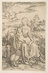 The Madonna with the Monkey n.d.-After Albrecht Dürer ,  Poster Print