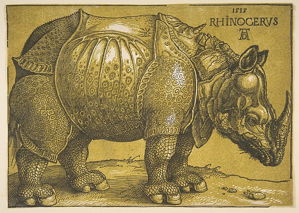 The Rhinoceros after 1620-Albrecht Dürer ,  Poster Print Wall Art