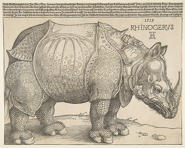 The Rhinoceros n.d.-Albrecht Dürer ,  Poster Print Wall Art