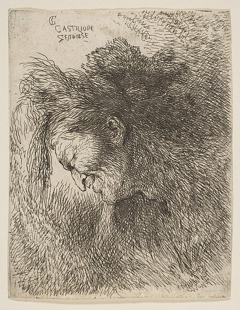 Head of an old man looking down  facing Left  from the series ,  Poster Print Wall Art