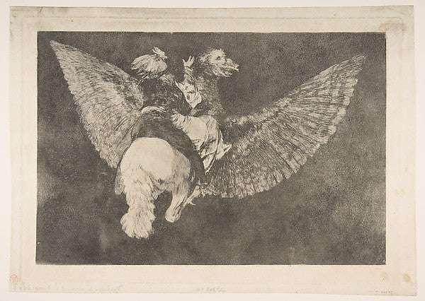 Plate 5  from the 'Disparates' -  Flying Folly c1816–23-Goya ,  Poster Print Wall Art