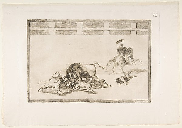 Plate 25 from the 'Tauromaquia':They loose dogs on the bull. 1, Poster Print