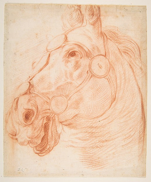Study for a Horse's Head c1650-Circle of Baldassarre Francesch,  Poster Print Wall Art