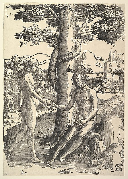 Fall of Man  c1514-Lucas van Leyden,  Poster Print Wall Art