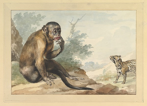 A Monkey Sitting on a Rock Looking at a Civet 1764-Aert Schoum,16x12"(A3)Poster