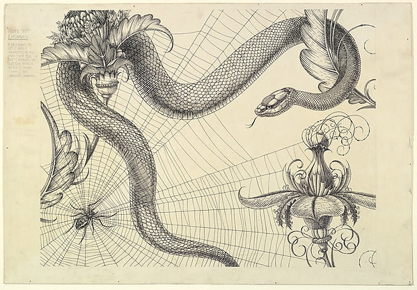 Spider  Web  Snake and Flowers  The Duchess of Malfi and The W,  Poster Print Wall Art