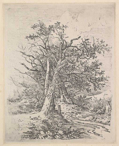 John Crome:Tree Trunks and Lane 1811–12-16x12"(A3) Poster
