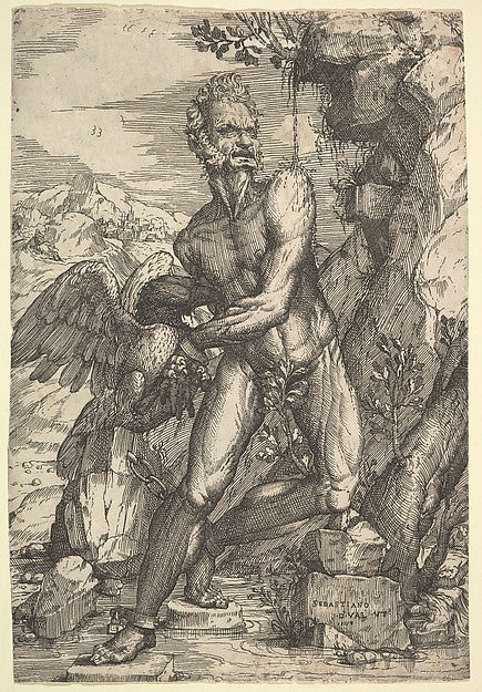 Prometheus c1558-Sebastiano de' Valentinis,  Poster Print Wall Art
