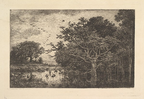 Swans in a Marsh 1851-Charles-François Daubigny,  Poster Print Wall Art