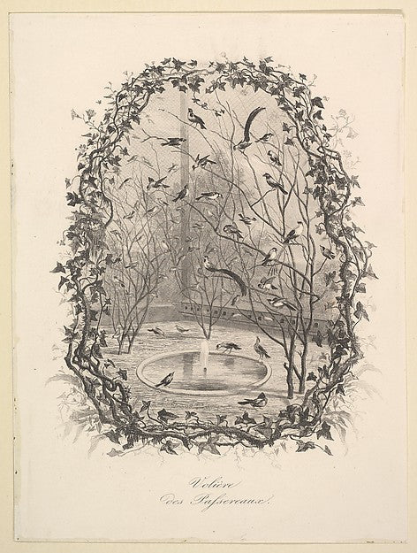 The Sparrow Aviary 1843-Charles-François Daubigny,  Poster Print Wall Art