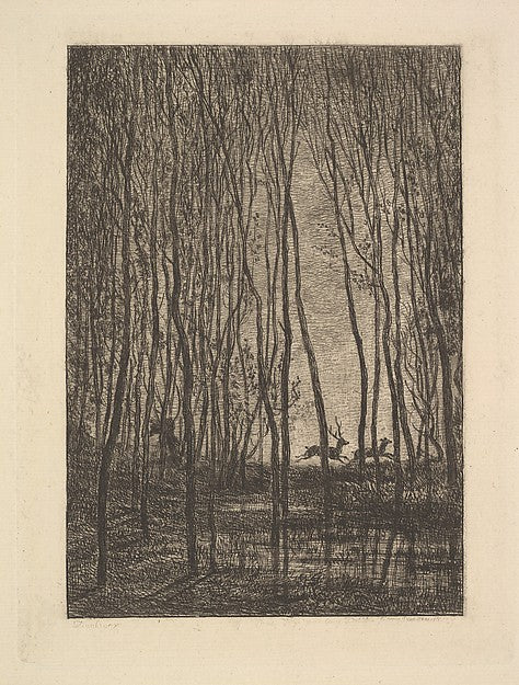 Deer in the Woods 1850-Charles-François Daubigny,  Poster Print Wall Art