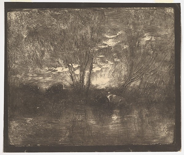 Cows at a Watering Place [1862] reprinted 1921-Charles-Françoi,  Poster Print Wall Art