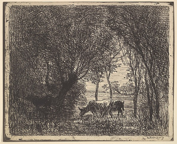 Cows in Woods [1862] reprinted 1921-Charles-François Daubigny,  Poster Print Wall Art