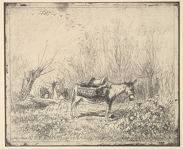 Donkey [1862] reprinted 1921-Charles-François Daubigny,  Poster Print Wall Art