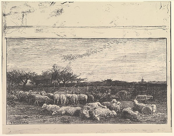 The Sheep Meadow [1862] reprinted 1921-Charles-François Daubig,  Poster Print Wall Art