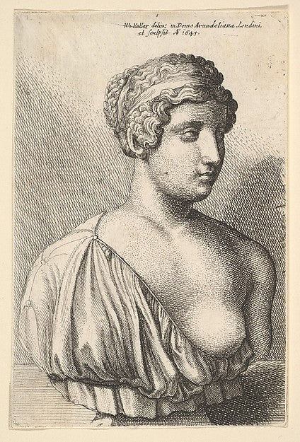 Antique bust of a woman 1645-Wenceslaus Hollar,  Poster Print Wall Art