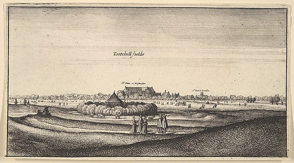 Tootehill fields  1625–77-Wenceslaus Hollar,  Poster Print Wall Art